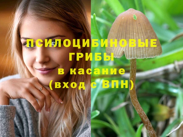 MESCALINE Красноперекопск