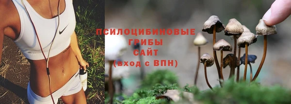 спиды Кукмор