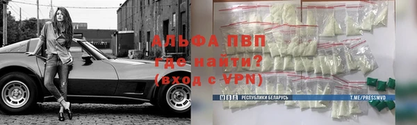 спиды Кукмор