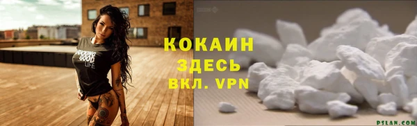гашик Кулебаки
