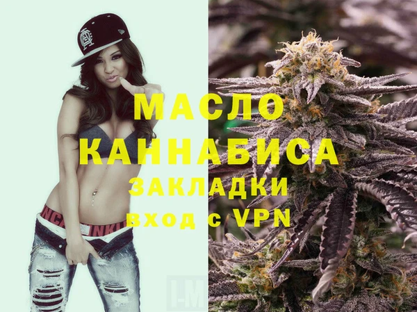 гашик Кулебаки