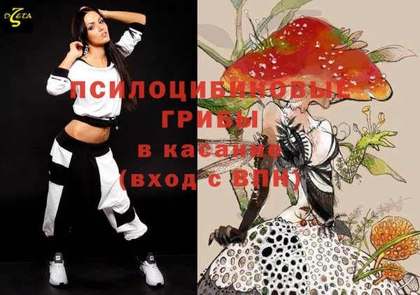 ешки Куйбышев